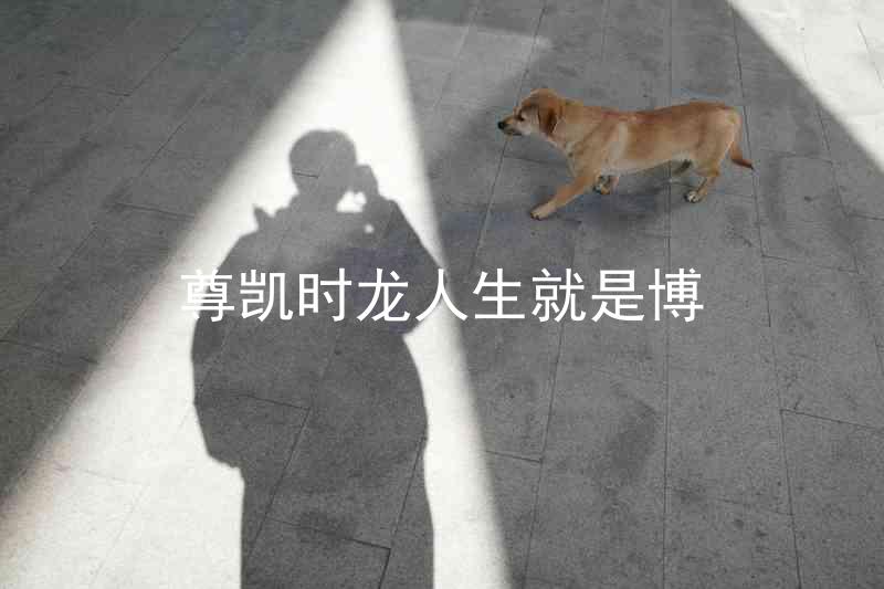 尊凯时龙人生就是博
