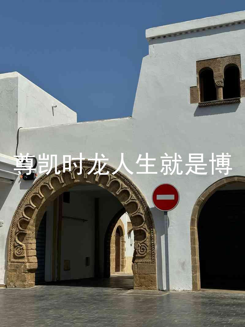 尊凯时龙人生就是博