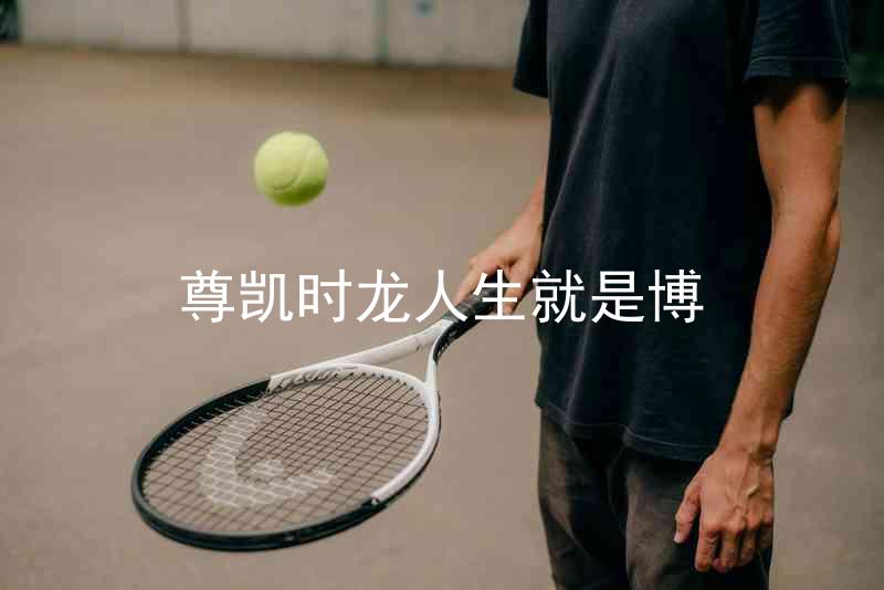 尊凯时龙人生就是博